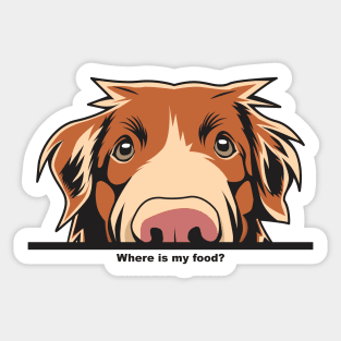 Where Is My Food Funny Toller Sticker